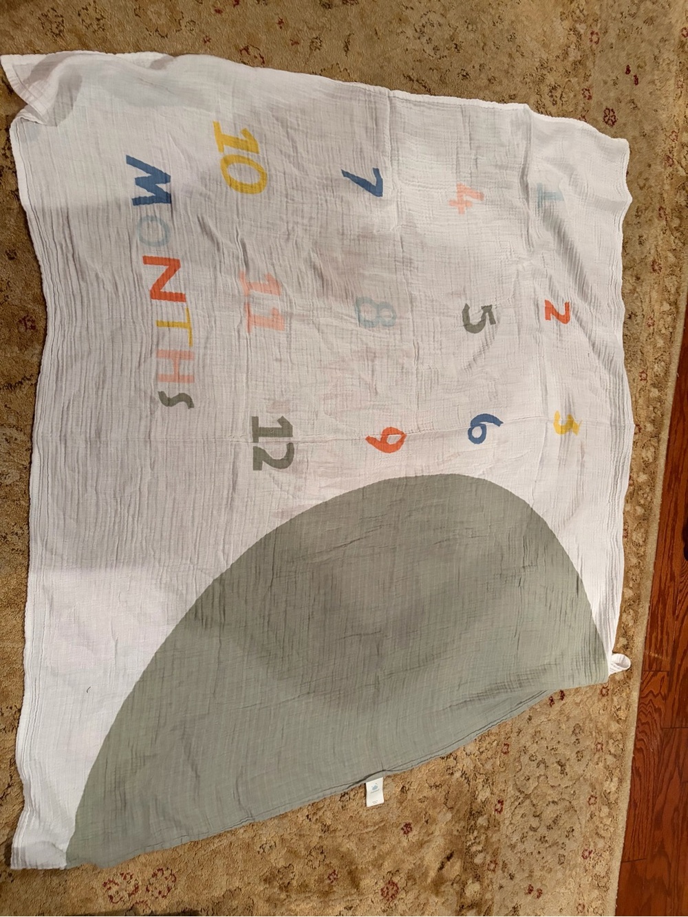 Baby Milestone swaddle blanket Cloud Island missing month circle